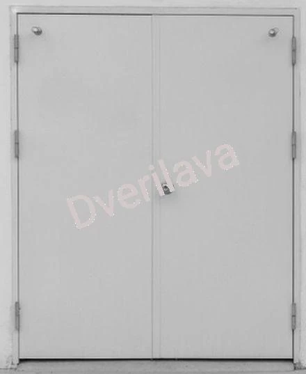 Купить Противопожарная дверь серого цвета